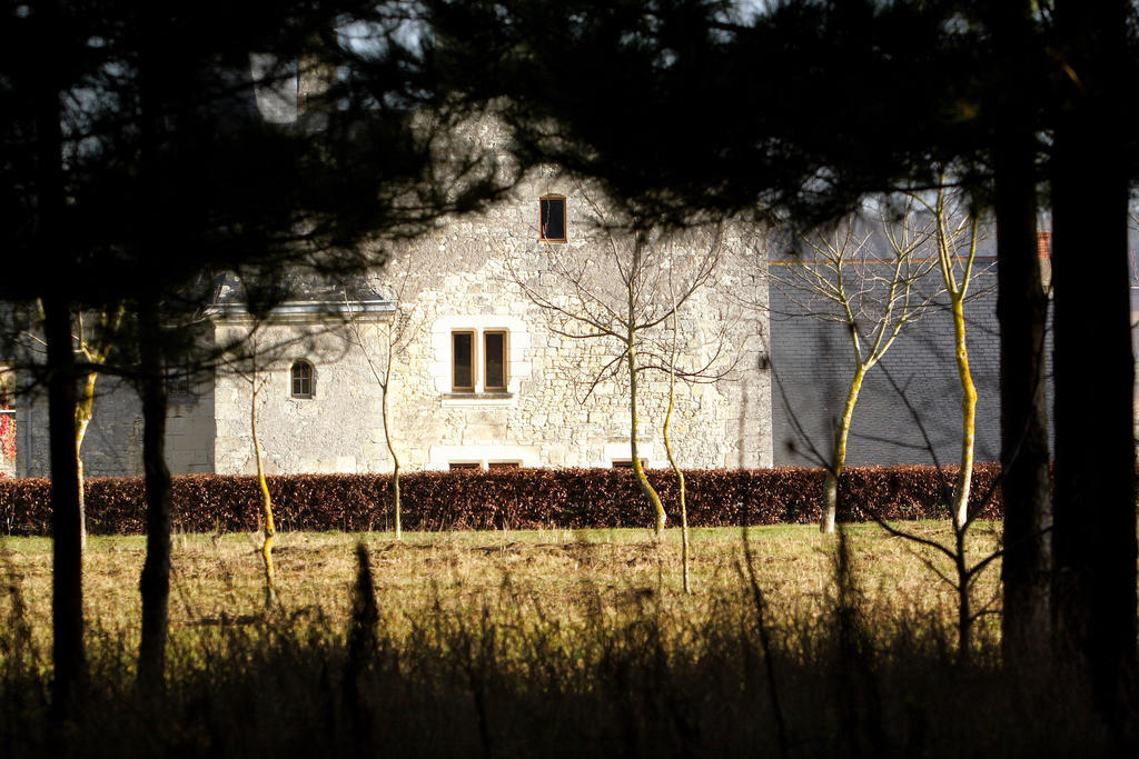 Bed and Breakfast Manoir Du Bois Noblet à Louerre Extérieur photo