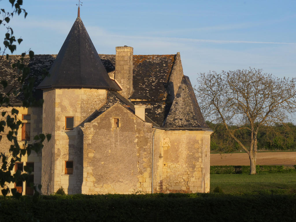 Bed and Breakfast Manoir Du Bois Noblet à Louerre Extérieur photo